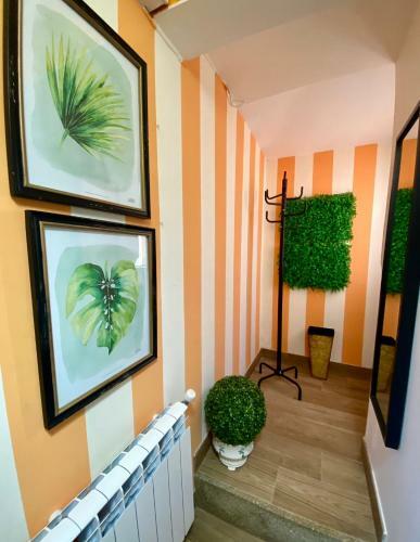Casa Las Hiedras