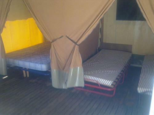 Camping Les Buis