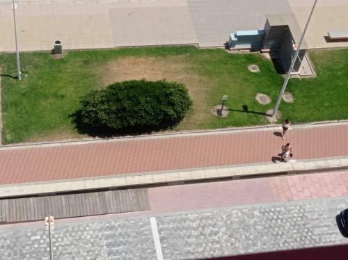 Apartamento Albatros