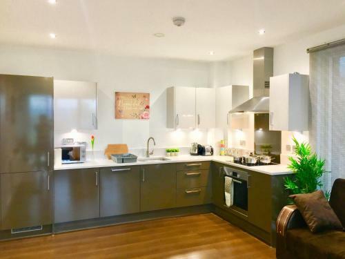 London Excel 2 Bedrooms River View Apartment