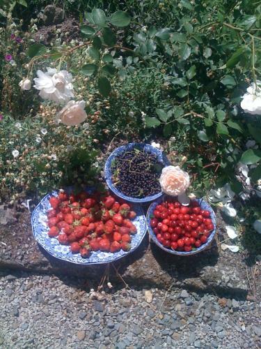 Bed & Breakfast Malouini�re Des Trauchandieres
