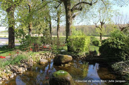 Hotel Auberge Sundgovienne