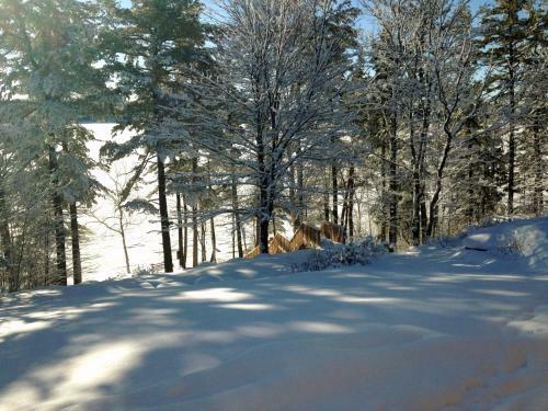 Laughing Waters Bed & Breakfast And Vacation Rental