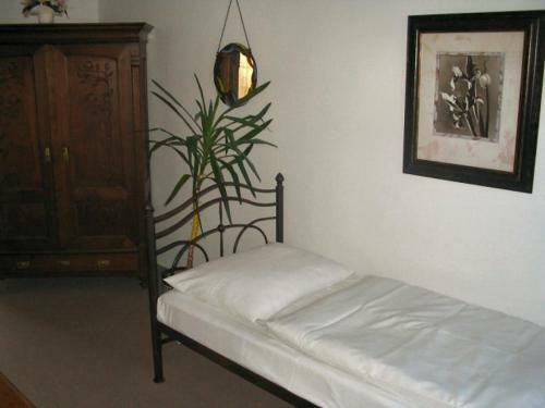 Hostal Villa Olivia