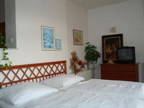 Hostal Villa Olivia