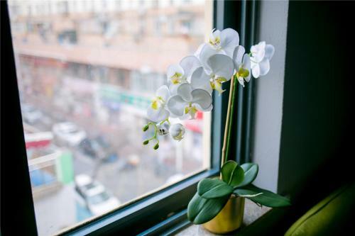 Albergue Qingdao Nostalgia Theme Inn