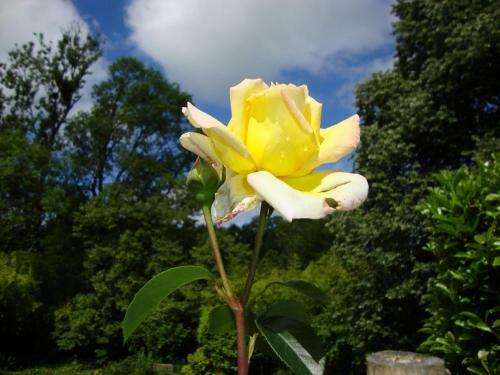 Bed & Breakfast Domaine de La Dame de Lauri�re