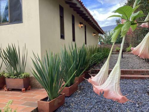 Villa Caba�a ?jard�n de Los �ngeles?