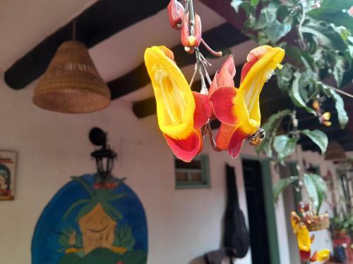 Beija Flor Hostel