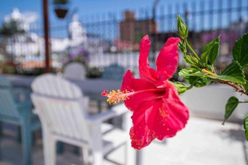 Private House-swimming Pool - Old Santa Marta