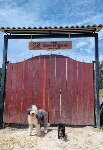 Casa de Huespedes - Naturalove