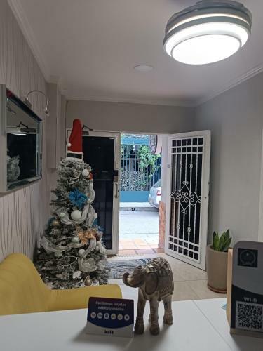 Bed & Breakfast Hotel Bahia Comfort