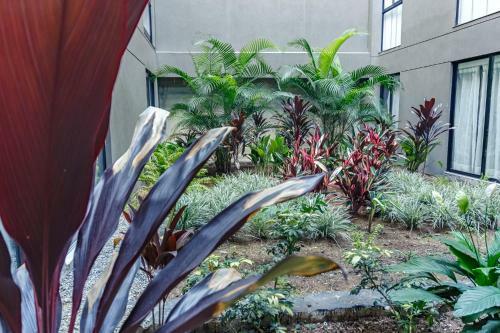 Apartamento Moderno Loft En El Centro de Mde