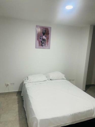 Apartamento Lindo Apto Carmen de Apical�