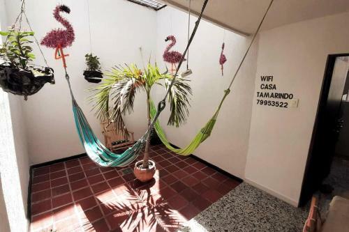 Albergue Casa Tamarindo