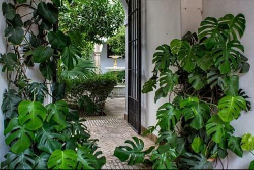 Apartamento de Dos Dormitorios En Plaza Alfaro