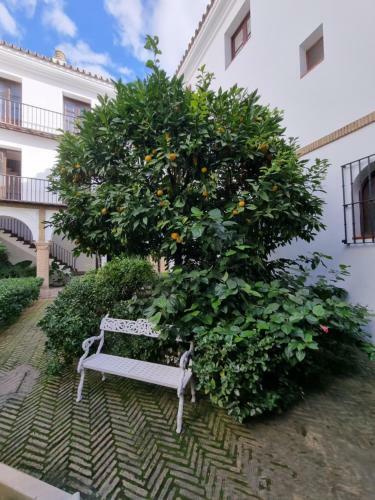 Apartamento de Dos Dormitorios En Plaza Alfaro