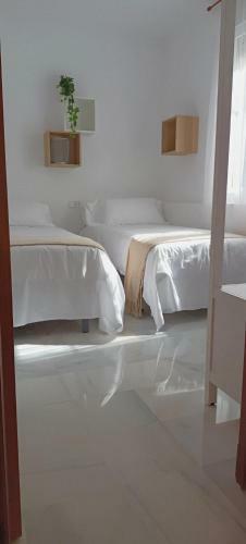 Apartamento Palacio de Due�as Private Terrace