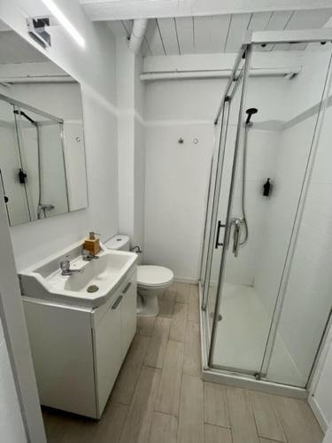 Apartamento Ti2 D�plex Con Terraza Privada, 120 Metros de La Catedral