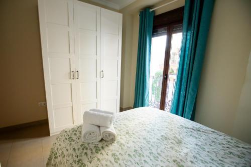 Apartamento Do�a Concha Alameda