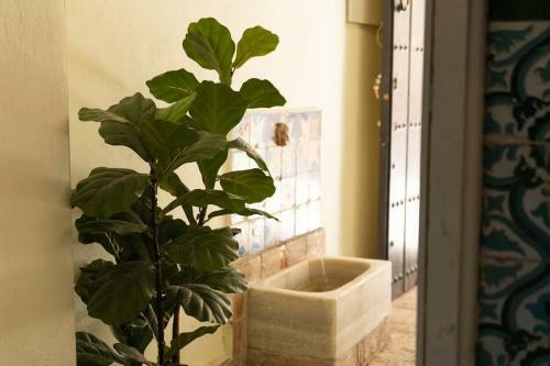 Nueva Casa Boutique En El Centro de Sevilla