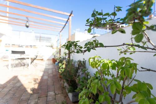 Town House With Rooftop Terrace