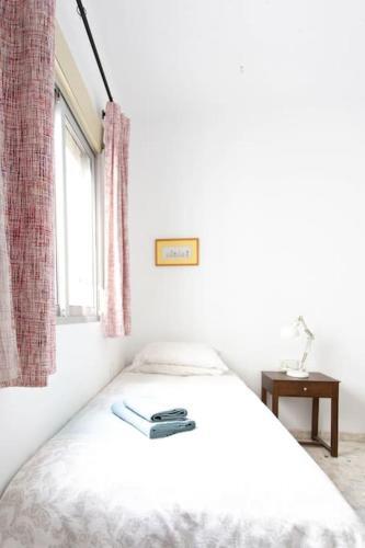 Town House With Rooftop Terrace