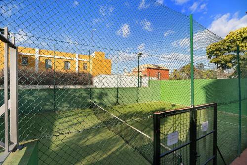 Terraza De Do�ana