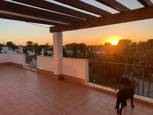 Apartamento �tico Costa Ballena - C�diz