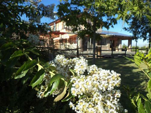 Agroturismo Agriturismo Viantiqua