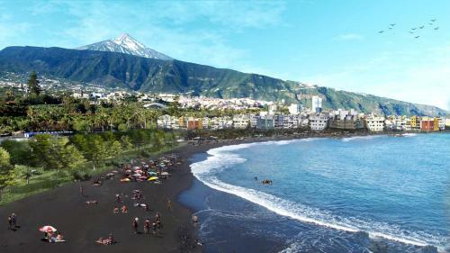 Bello Apartamento En Playa Marti�nez
