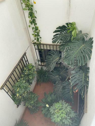 Apartamento A 1 Min de Las Playas Norte Y Sur