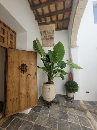 Apartamento Casa Del Museo - Agua