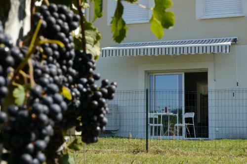 Villa La R�sidence "les Grands Vignobles"