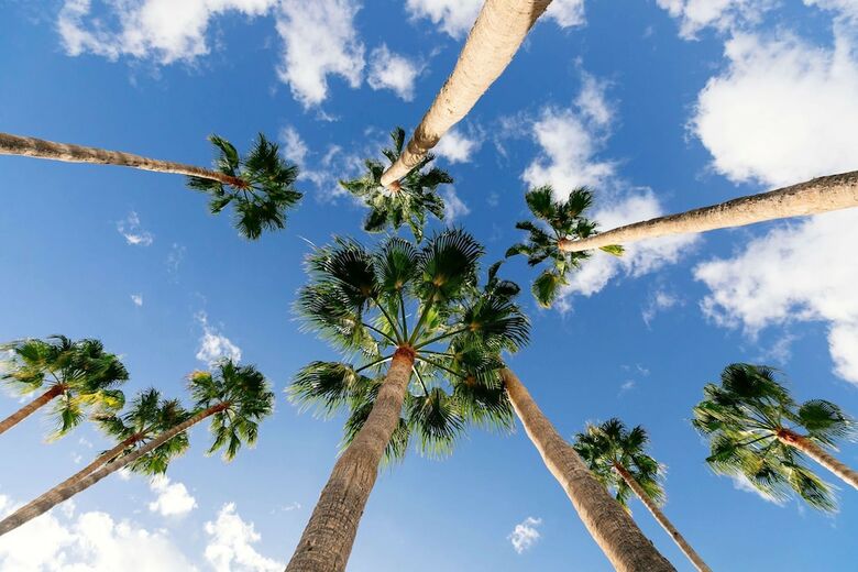 Hotel Hd Parque Cristobal Tenerife