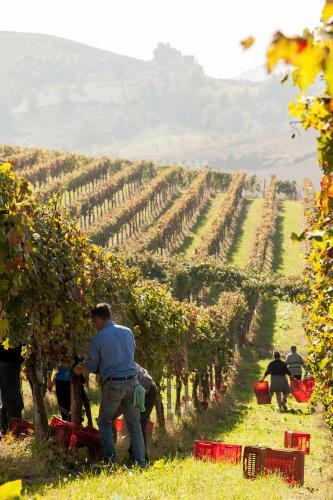 Agroturismo Tenuta La Pergola