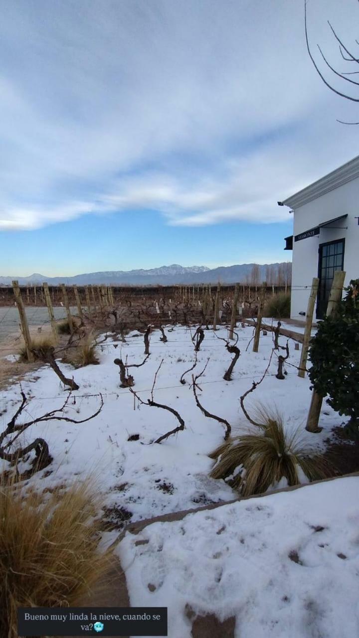 Hotel Viamonte Winery Lodge