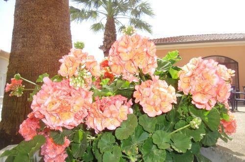 Apartamento Residence Villa Laura
