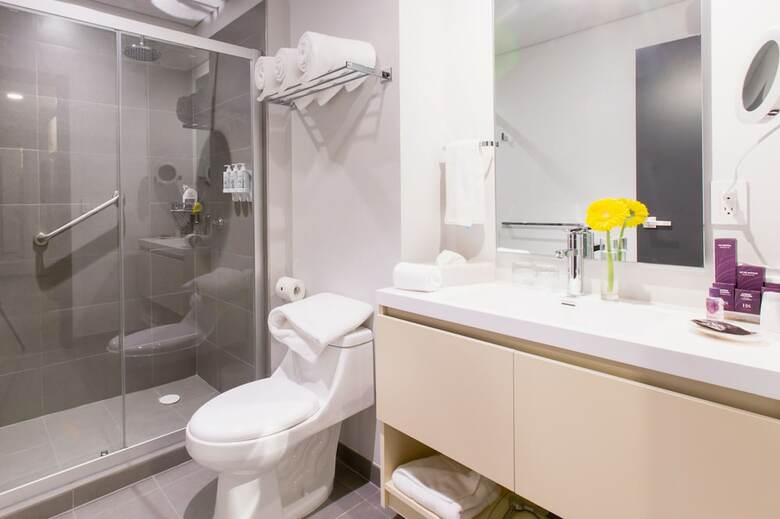 Hs Hotsson Long Stay Cdmx Condesa Sur
