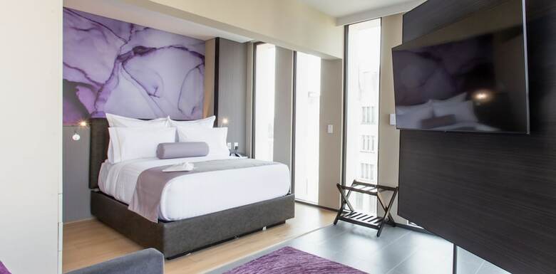 Hs Hotsson Long Stay Cdmx Condesa Sur