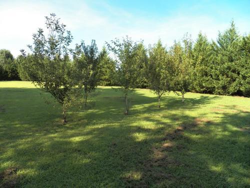 Agroturismo Quite County Living