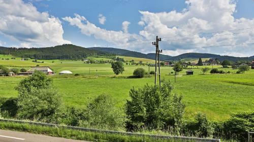 Hostal Gr�ner Hof