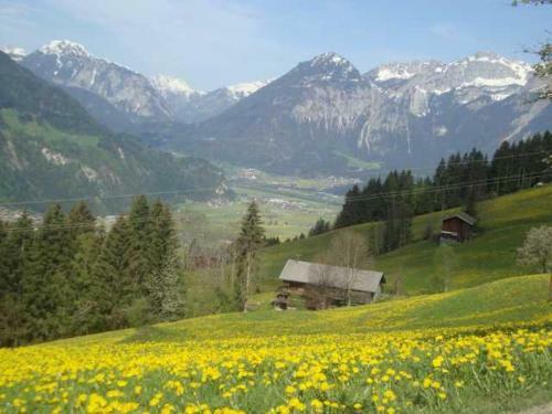 Apartamento Appartementhaus Eberharter