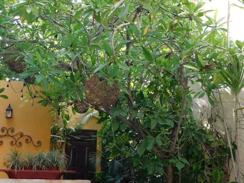 Bed & Breakfast Hotel Boutique Casa Flor de Mayo