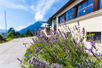 Hotel Berggasthof Panorama