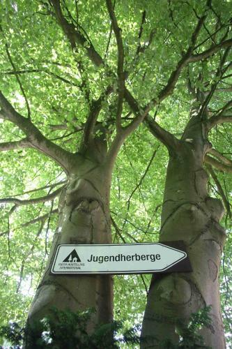 Albergue Jugendherberge Flensburg