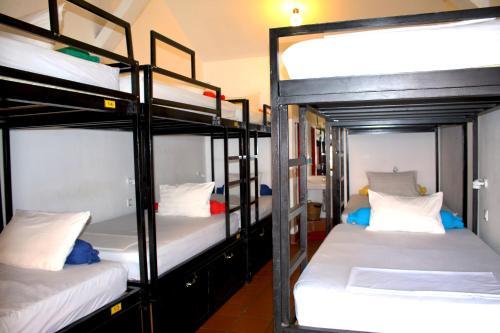 Hostal Top Banana Guesthouse & Rooftop Bar
