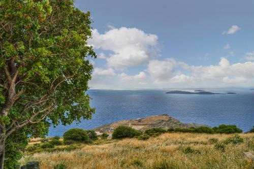 Apartamento Althea Archontika Tis Androu