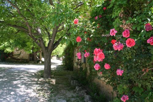 Agroturismo Los Enebros Nerpio