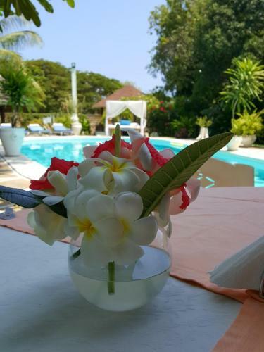 Bed & Breakfast Luna House Moyo Wa Dunia Ltd